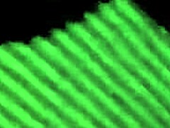 cogidita amateur moments