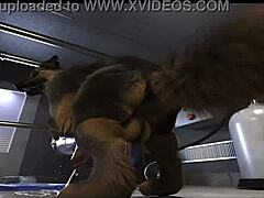 क्या कभी फरी कंपाइलेशन देखा है H0rs3 फकिंग मशीन एक्शन के साथ?