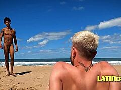 एक्सोटिक