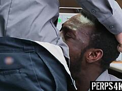 चोर गे सेक्स