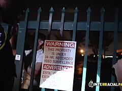 Reality Show About Police Officers