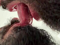 Barbudo Ko Gostoso Ne Thuk Diya Hot Clip Mein