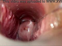 नज़दीकी