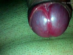 मेरे लंड को एक्सप्लोर करना इतना डैम गुड फील होता है