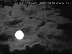 yo, watch this black cock get wild insemination