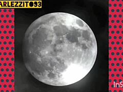 enjoying a steamy session with trans beauty nelly