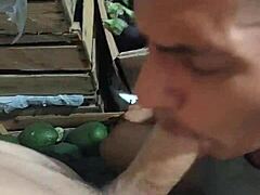 Sucked off the hot young worker in storage, so hung