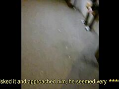 Straight Guy Convinced On A Saturday Night