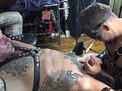 this leather swing is perfect for hardcore action