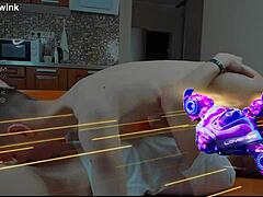 Twinks enjoy after-dark solo sessions with gushing load seduction