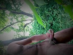 titu explores the lush jungle, discovering hidden spots and enjoying nature's serenity solo.